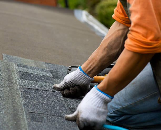 Best Flat Roof Repair Services  in Canton, IL