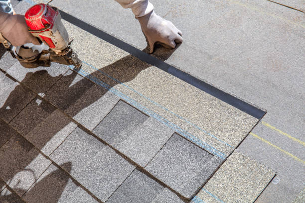 Best Flat Roof Repair Services  in Canton, IL